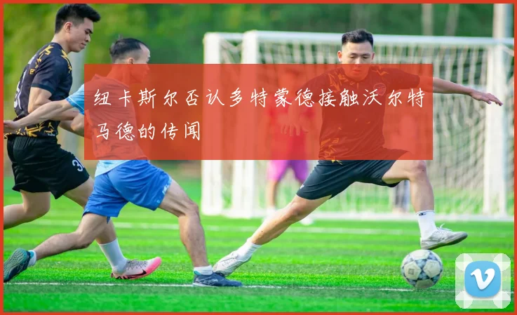 纽卡斯尔否认多特蒙德接触沃尔特马德的传闻