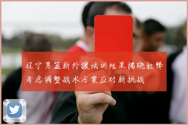 辽宁男篮新外援试训结果揭晓杜锋考虑调整战术方案应对新挑战