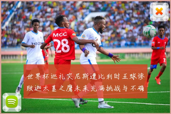 世界杯巡礼突尼斯遭比利时五球惨败迦太基之鹰未来充满挑战与不确定性